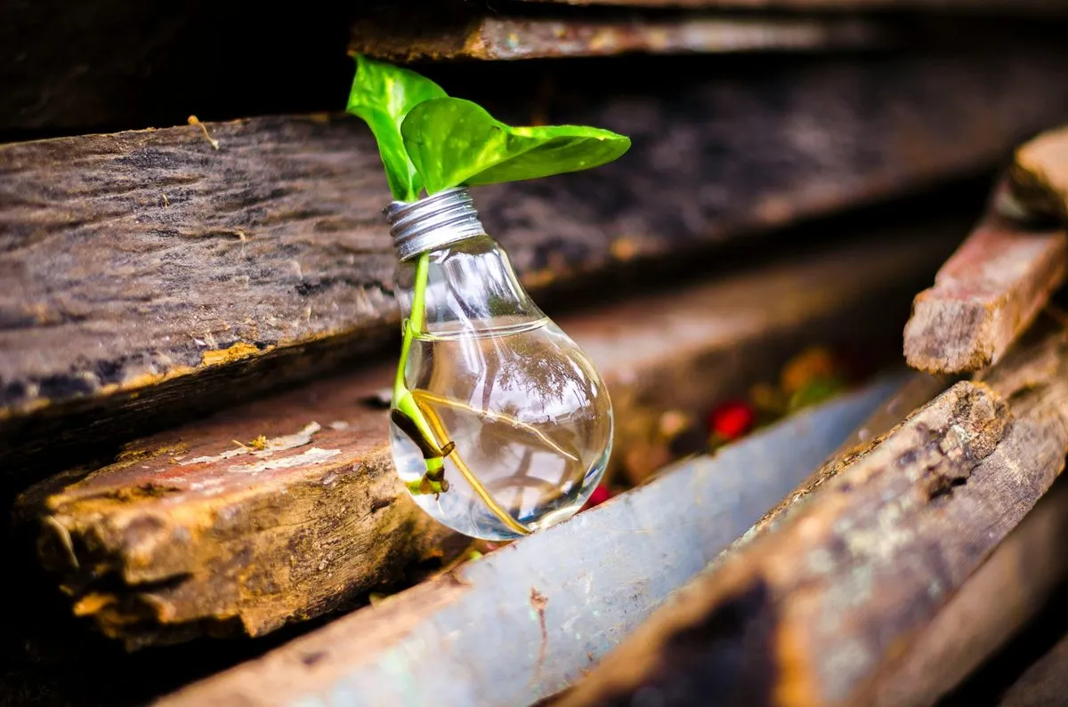 Fostering Innovation and Adaptability
